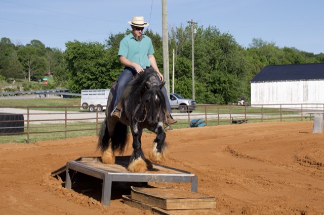 A Spark of Cosmic Blue under saddle